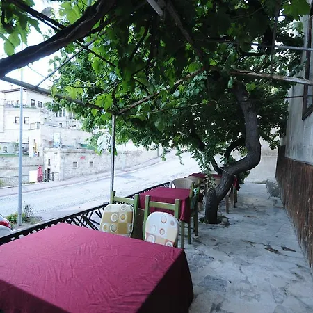 Guest house Born
