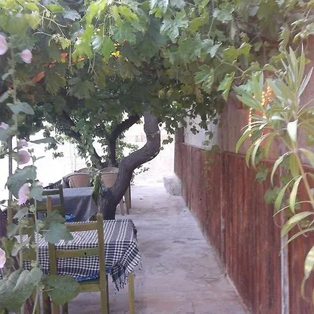 بيت ضيافة Born