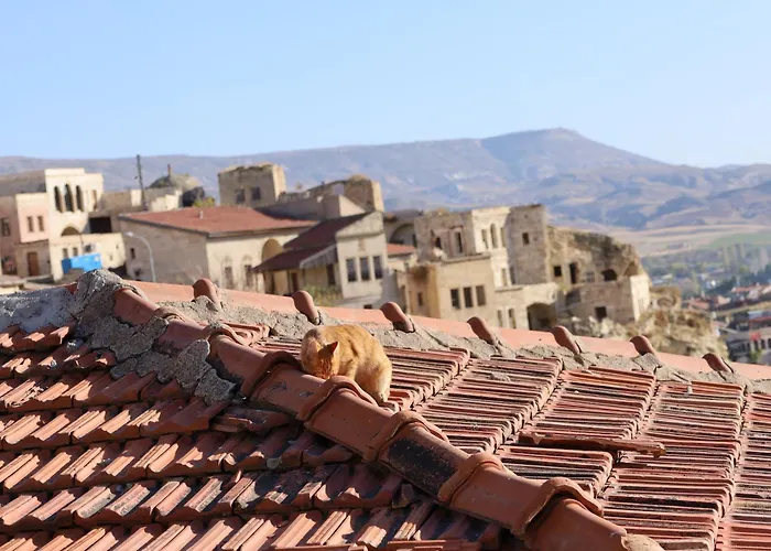 Born בית הארחה 3*