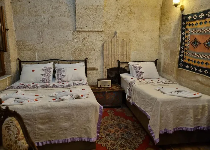 בית הארחה Born