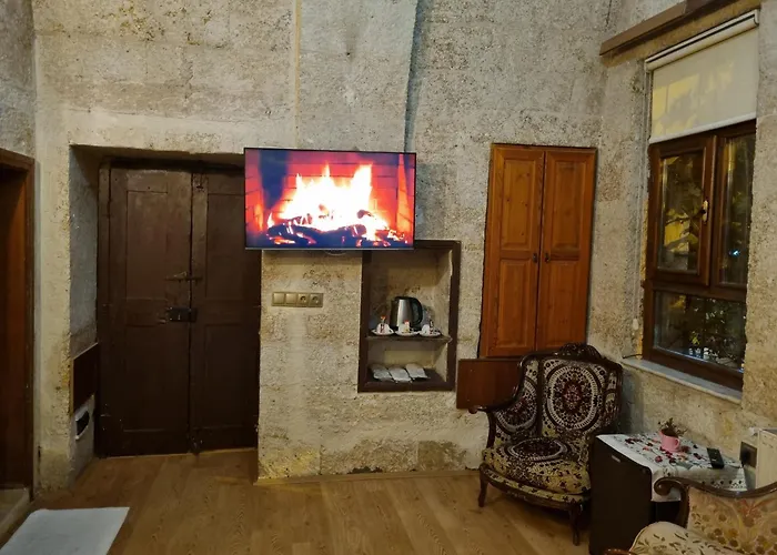 בית הארחה Born