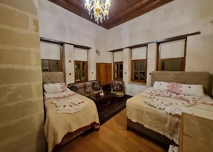 בית הארחה Born