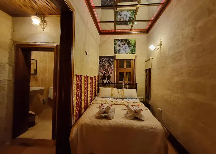 Born 3* אורגופ