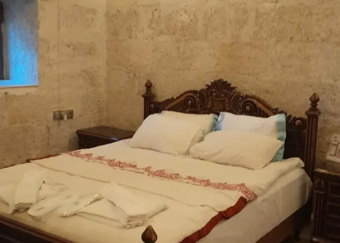 Born 3* אורגופ