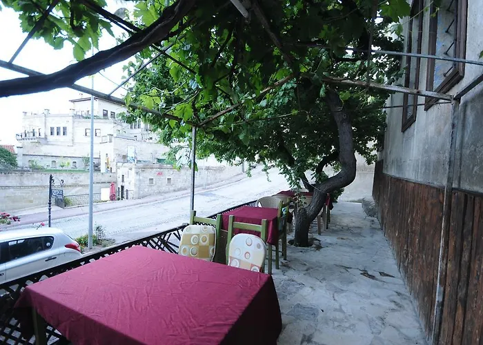 בית הארחה Born