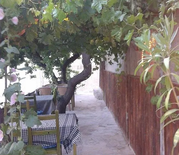 בית הארחה Born